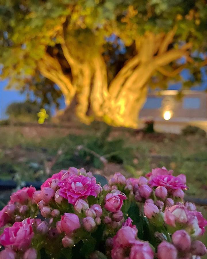 Maison d'hôtes Carrua à Marzamemi Extérieur photo