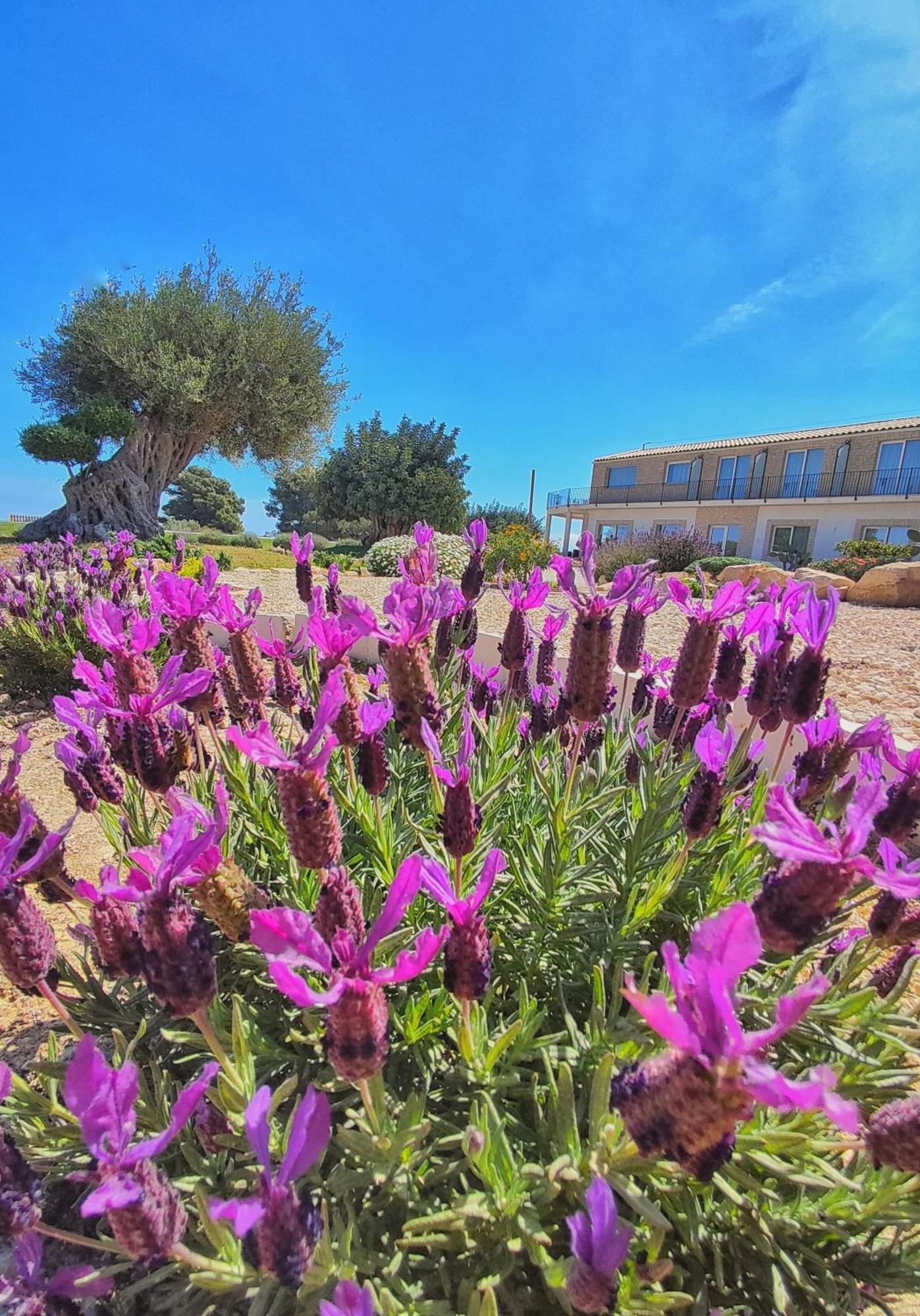 Maison d'hôtes Carrua à Marzamemi Extérieur photo